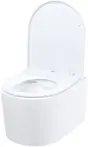 Унитазы Iddis Stone