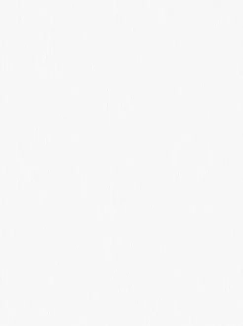 Erismann Bellagio 4380-4 обои виниловые на флизелиновой основе