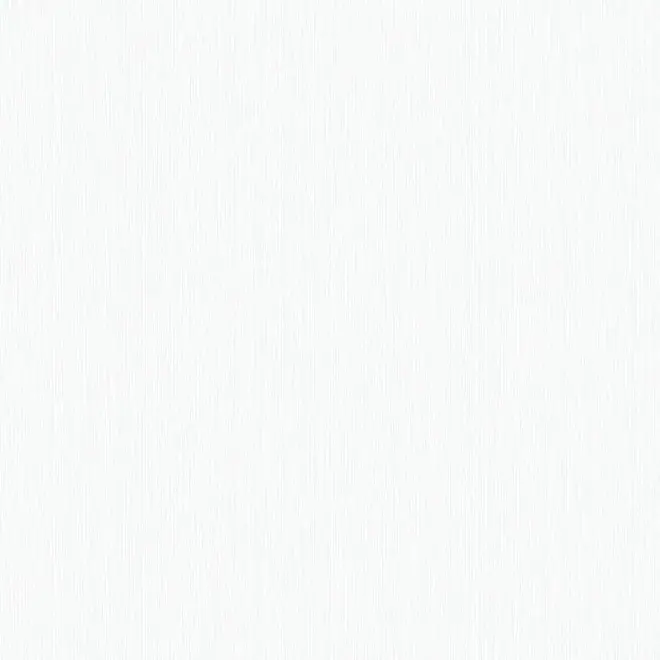 Erismann Defender 2824-1 обои виниловые на флизелиновой основе