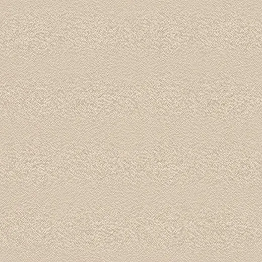 Rasch Cosmopolitan 576047 обои виниловые на флизелиновой основе
