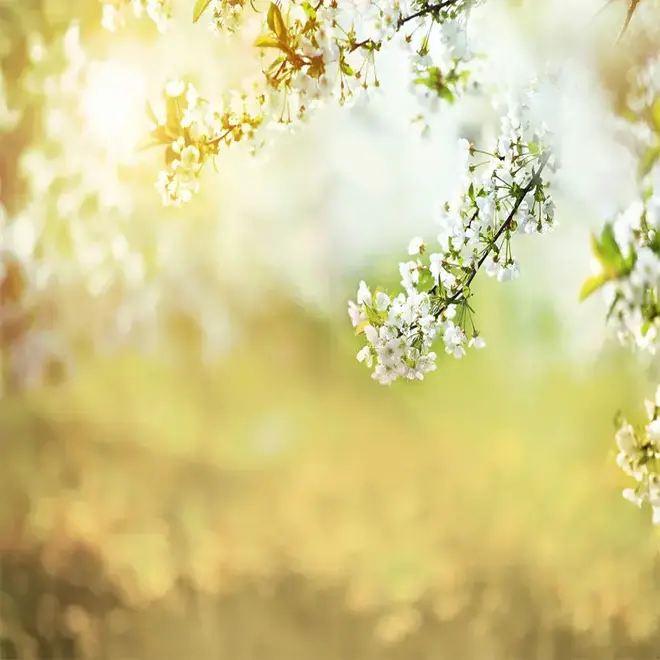 Loymina Illusion DS 015 панно