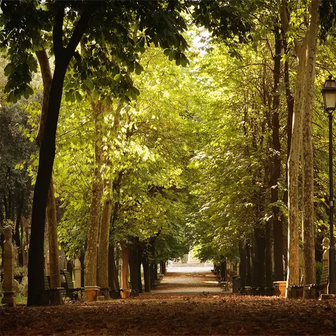 Loymina Illusion DS 012 панно