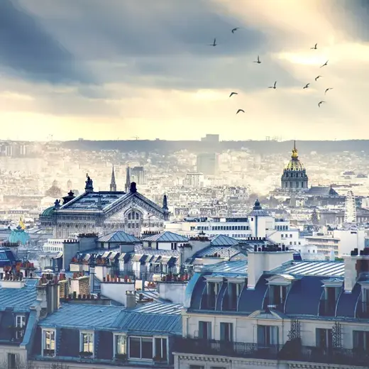 Loymina Illusion DS 002 панно