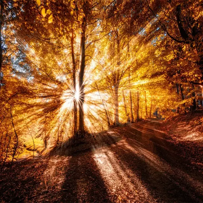 Loymina Illusion DF 002 панно