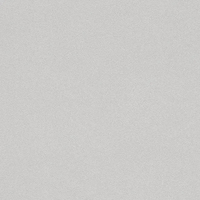 Rasch B.B Home Passion V 479447 обои виниловые на флизелиновой основе