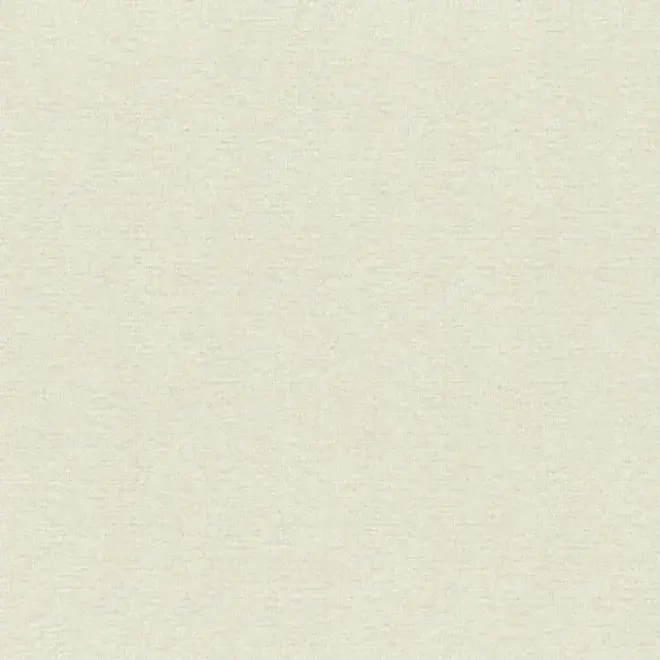 Rasch Maximum XIV 949827 обои виниловые на флизелиновой основе