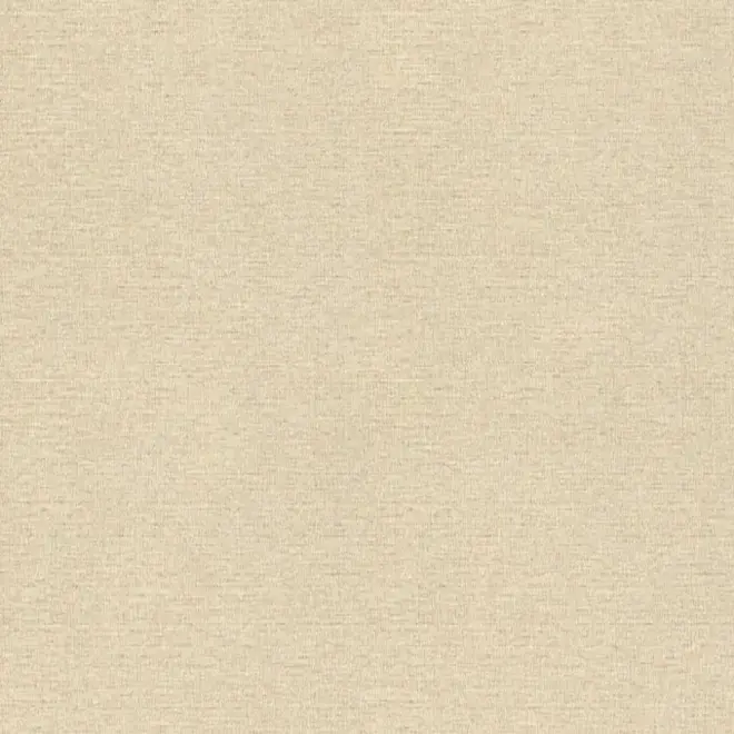 Rasch Maximum XIV 949810 обои виниловые на флизелиновой основе