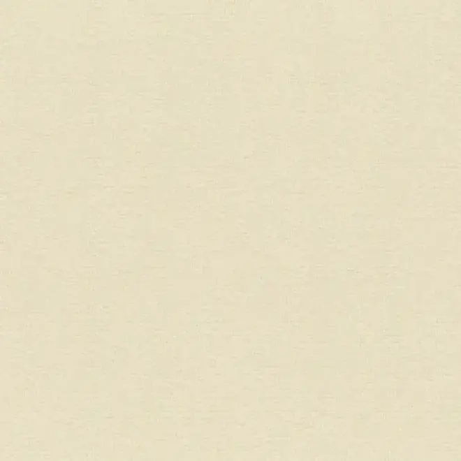 Rasch Maximum XIV 949834 обои виниловые на флизелиновой основе