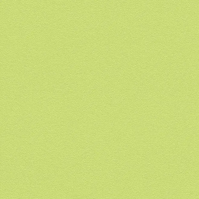 Rasch Prego 469035 обои виниловые на флизелиновой основе