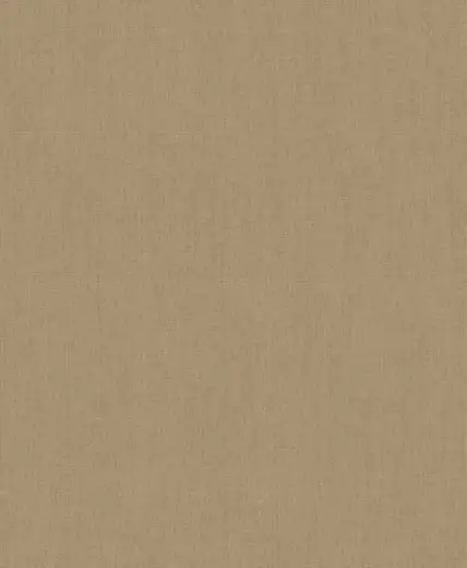 Erismann Orient 5110-20 обои виниловые на флизелиновой основе