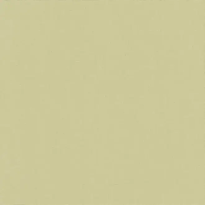 Erismann Orient 5110-24 обои виниловые на флизелиновой основе