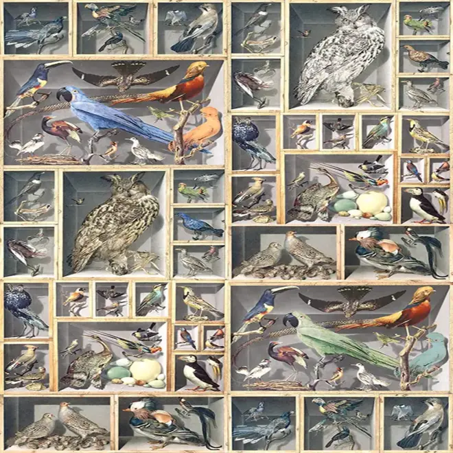 Loymina Illusion II DC 049 панно