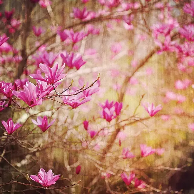 Loymina Illusion II DFL 001 панно