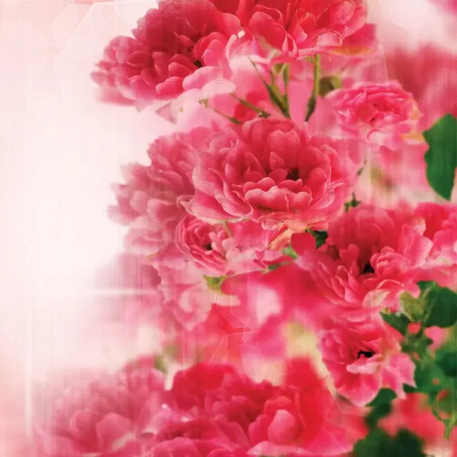 Loymina Illusion II DFL 003 панно