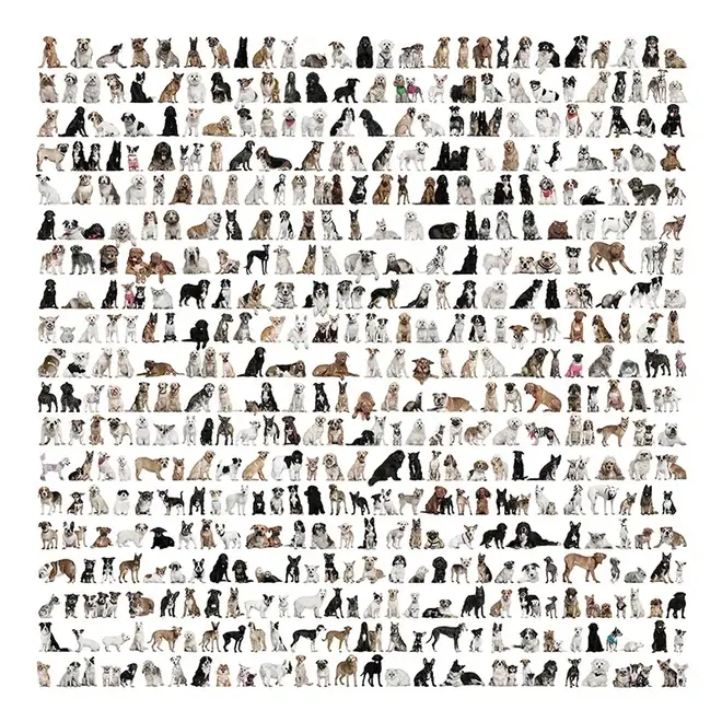 Loymina Illusion II DA 002 панно