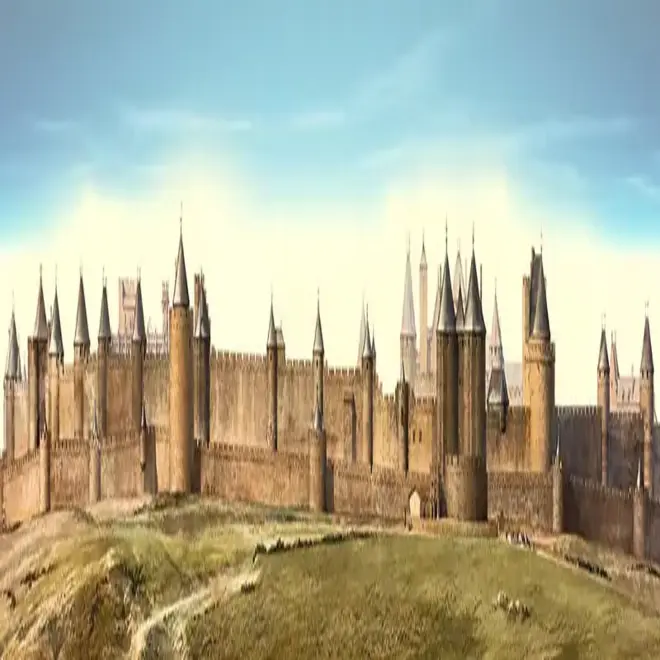 Loymina Illusion II DC 062 панно