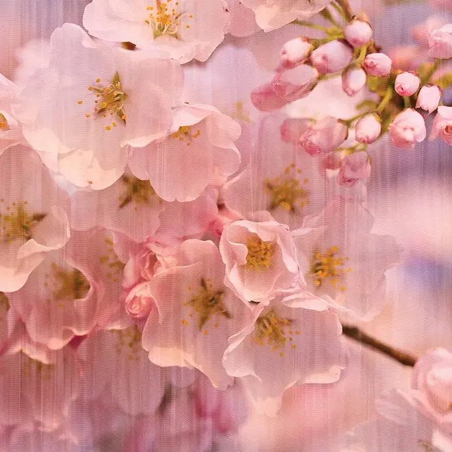 Loymina Illusion II DFL 004 панно