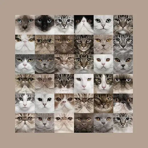 Loymina Illusion II DA 001 панно