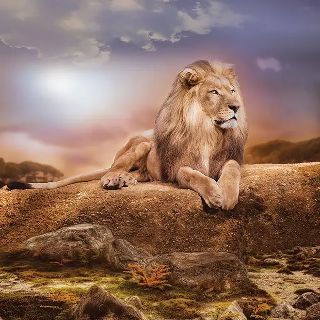 Loymina Illusion II DA 008 панно