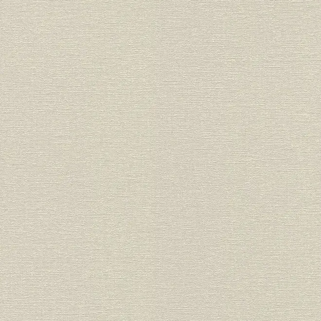 Rasch Hot Spot 804348 обои виниловые на флизелиновой основе