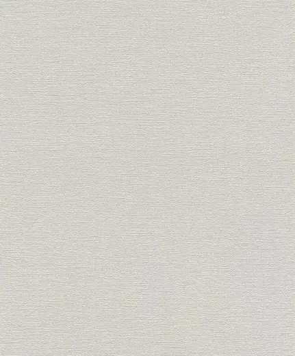 Rasch Hot Spot 804331 обои виниловые на флизелиновой основе