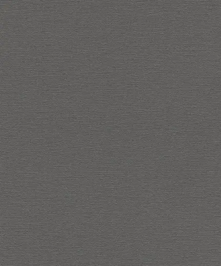 Rasch Hot Spot 804355 обои виниловые на флизелиновой основе