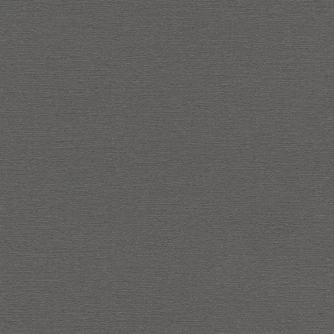 Rasch Hot Spot 804355 обои виниловые на флизелиновой основе