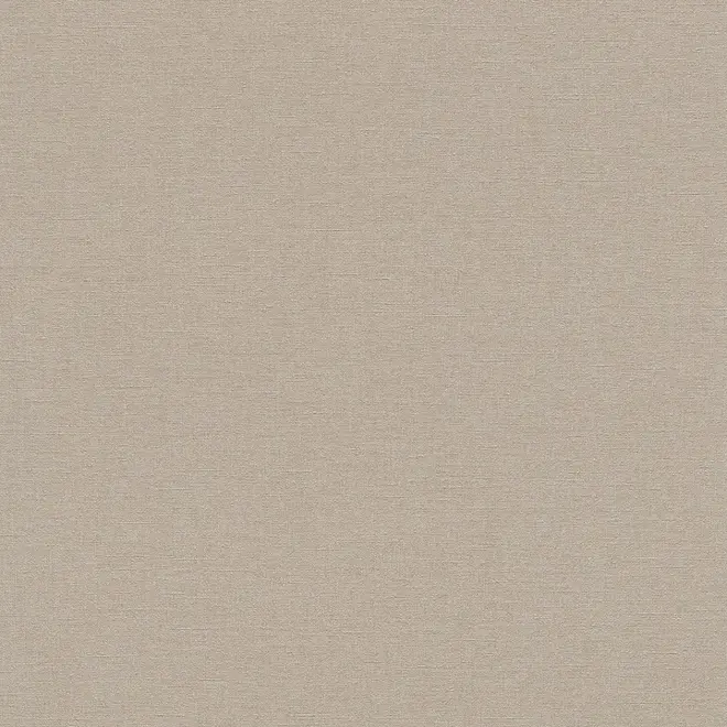 Rasch Florentine 448566 обои виниловые на флизелиновой основе