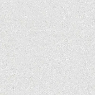 Rasch Wallton 178814 обои виниловые на флизелиновой основе