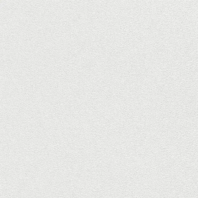 Rasch Wallton 178807 обои виниловые на флизелиновой основе