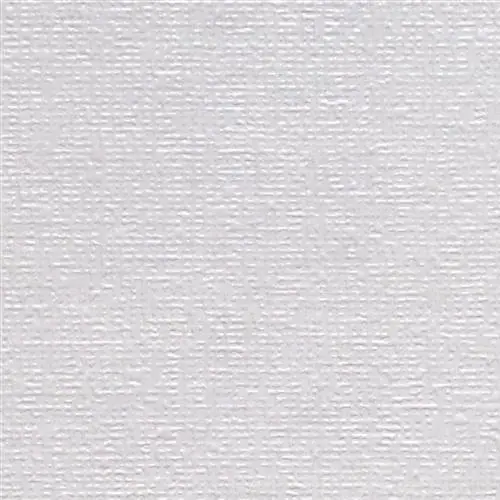 Rasch Wallton 161311 обои виниловые на флизелиновой основе