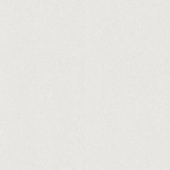 Rasch Wallton 144017 обои виниловые на флизелиновой основе