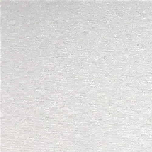 Rasch Wallton 161410 обои виниловые на флизелиновой основе