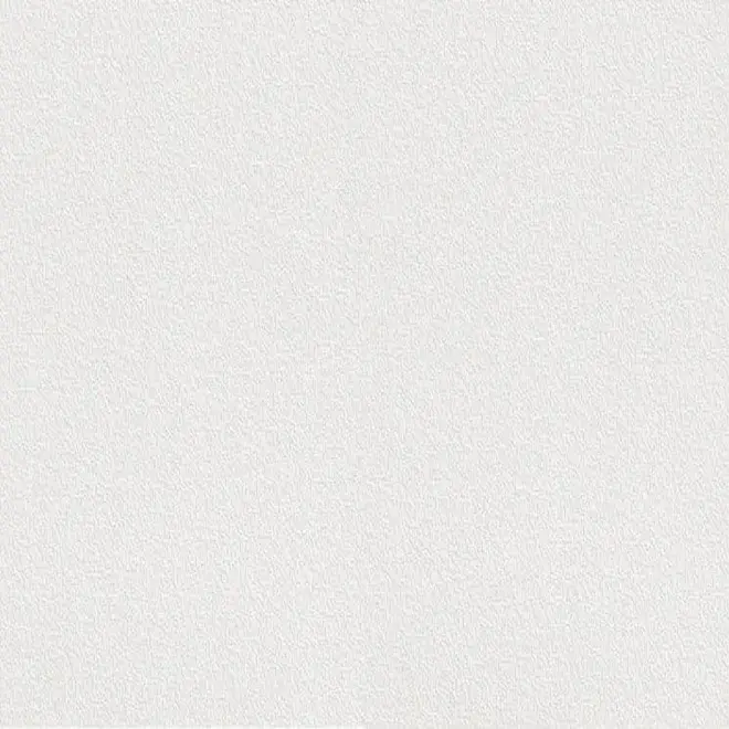 Rasch Wallton 124019 обои виниловые на флизелиновой основе