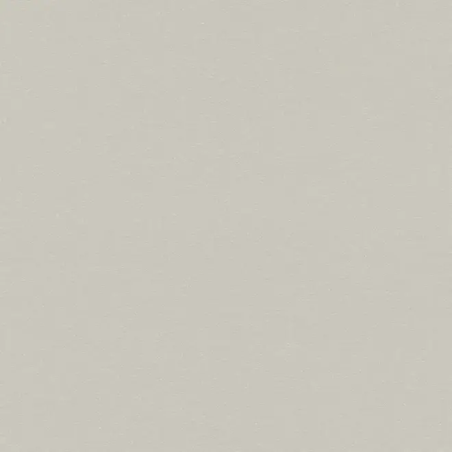 Rasch Sparkling 523188 обои виниловые на флизелиновой основе