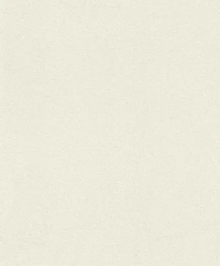 Rasch Sparkling 898231 обои виниловые на флизелиновой основе