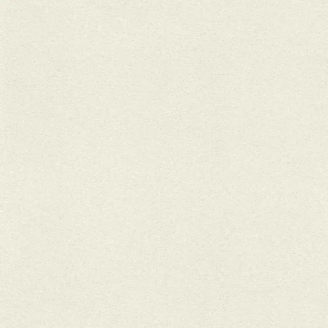 Rasch Sparkling 898231 обои виниловые на флизелиновой основе