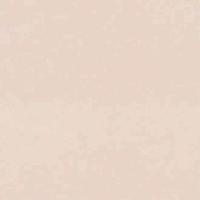 Rasch Sparkling 523157 обои виниловые на флизелиновой основе