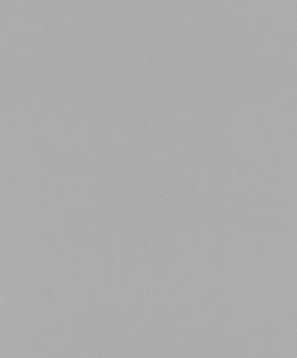 Rasch Sparkling 523164 обои виниловые на флизелиновой основе