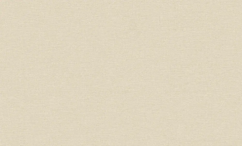 Erismann Jacklin 60112-08 обои виниловые на флизелиновой основе 60112-08