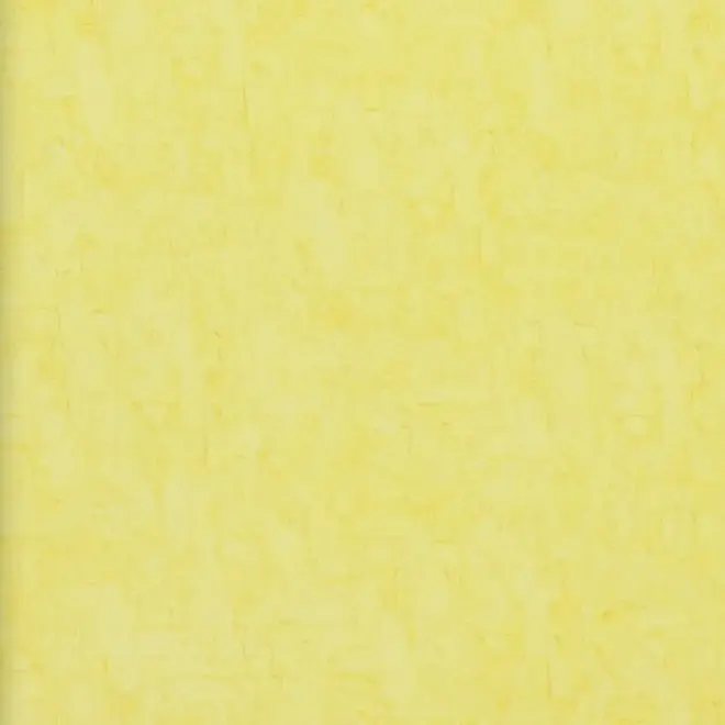 BN International Van Gogh 2 17131 обои виниловые на флизелиновой основе