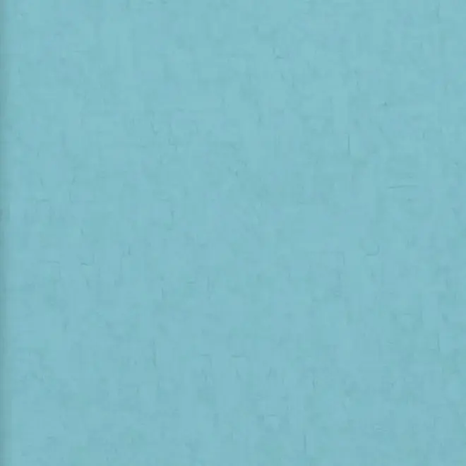 BN International Van Gogh 2 17113 обои виниловые на флизелиновой основе