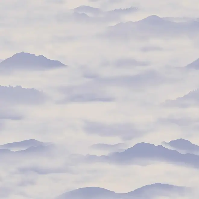 Loymina Clair CLR4 006 обои флизелиновые