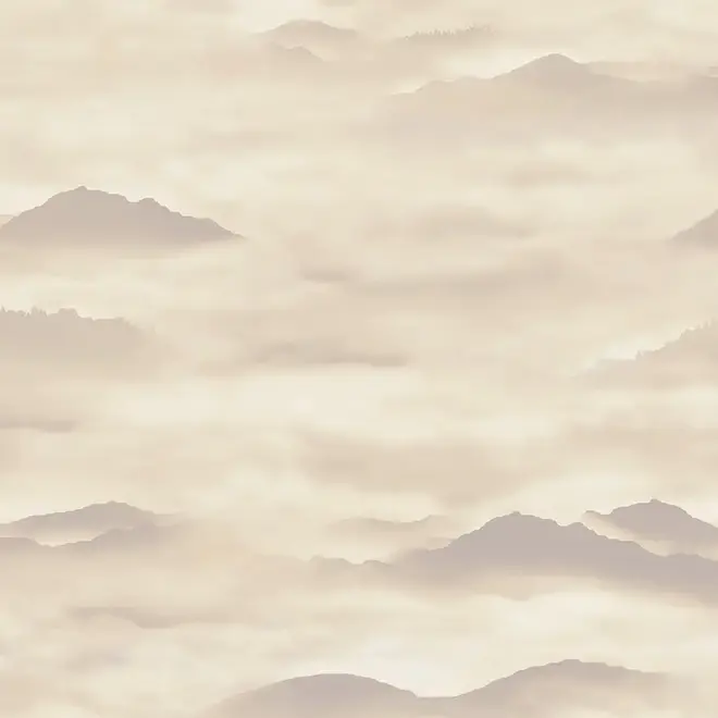 Loymina Clair CLR4 002 обои флизелиновые