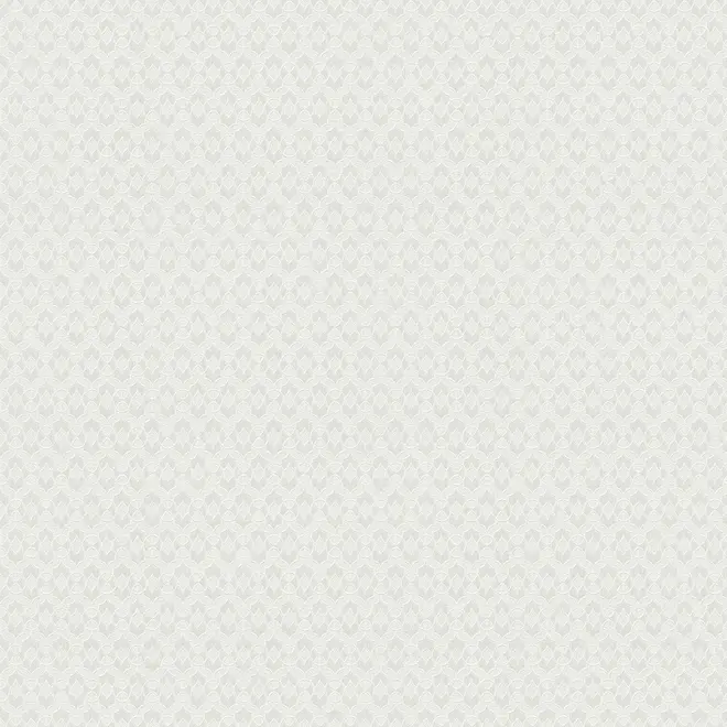 Erismann Arezzo 5131-01 обои виниловые на флизелиновой основе
