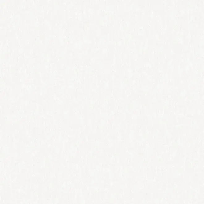 Victoria Stenova Balet 888931 обои виниловые на флизелиновой основе