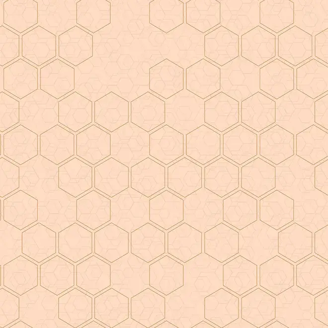 Loymina Liberty LIB1 007/1 обои флизелиновые