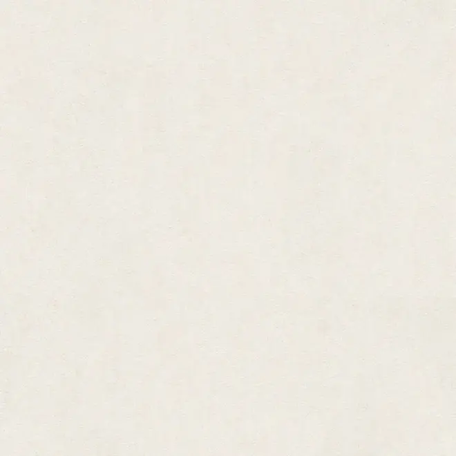 AS Creation Versace 2 962184 обои виниловые на флизелиновой основе