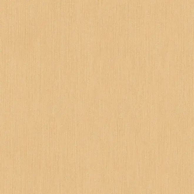 AS Creation Versace 2 962284 обои виниловые на флизелиновой основе