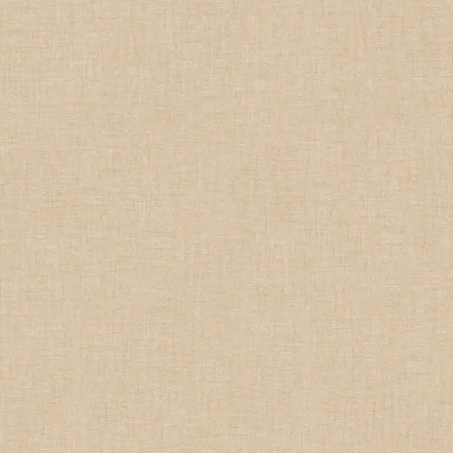 AS Creation Versace 2 962332 обои виниловые на флизелиновой основе